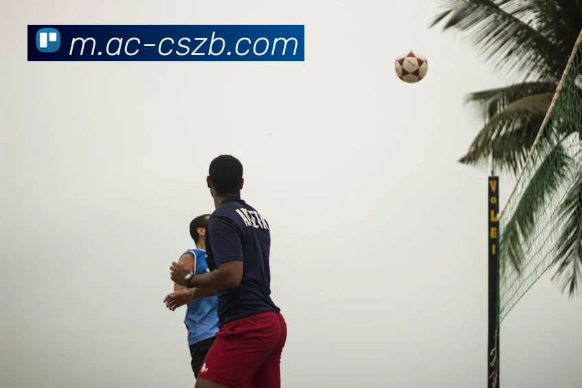 多媒体互动体验